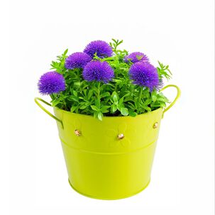 Balde De Latón Verde Con Gemas